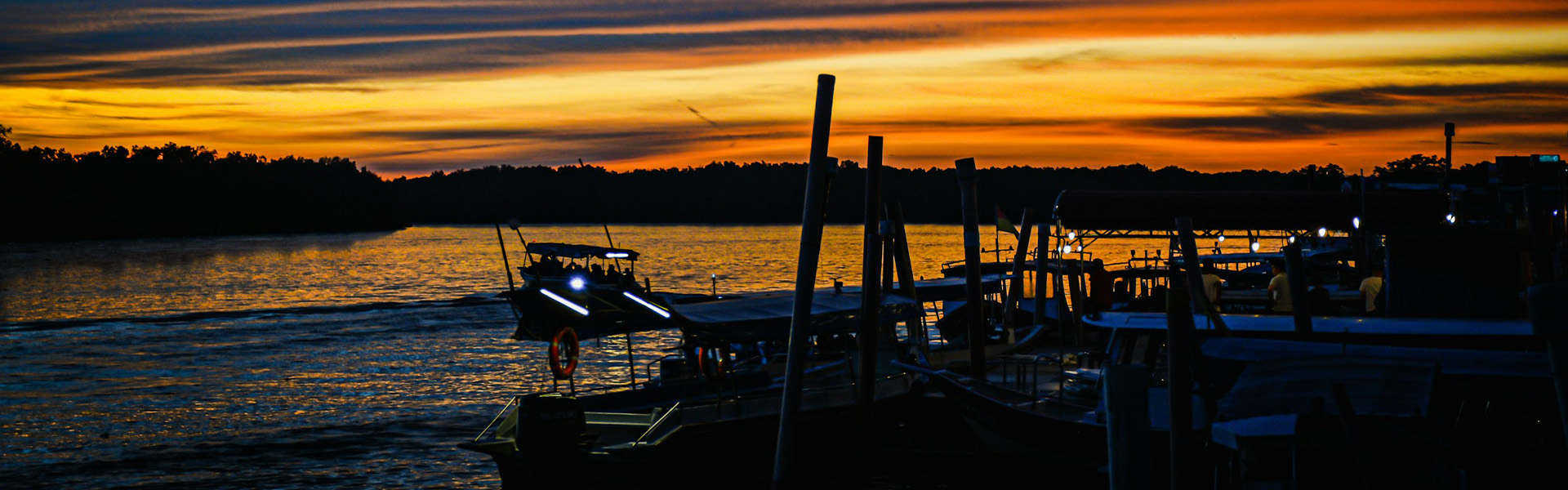 Kuala Selangor Fireflies Day Tour